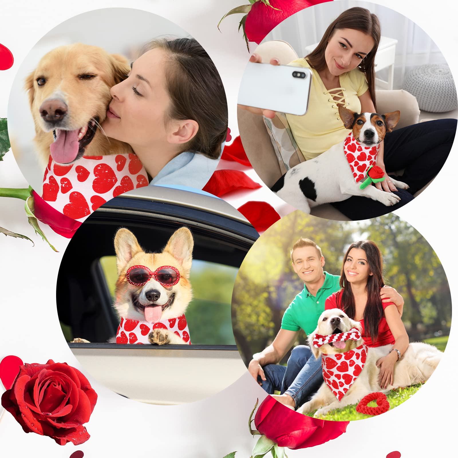 LEIFIDE Valentinstag Hund Kauspielzeug Bandana Set 4 Pack Valentinstag Rose Hundespielzeug Quietschendes Plüschtier Herzförmiges Hundeseilspielzeug Hund Baumwolle Haustier Seil Spielzeug für kleine,