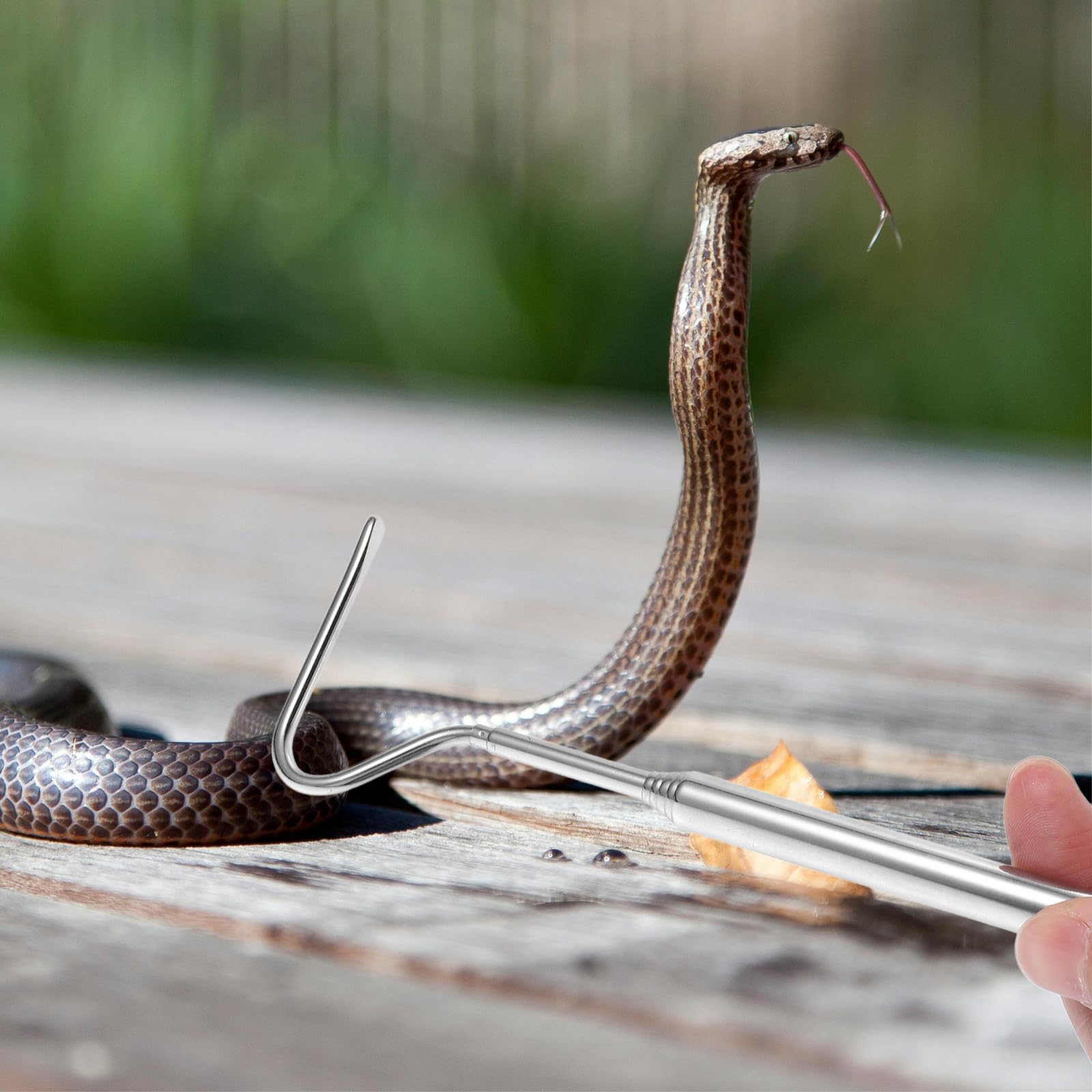 Tragbarer Schlangenfänger aus Edelstahl Zusammenklappbares Greifwerkzeug mit Verstellbarem Haken Sicherer und Benutzerfreundlicher Reptilienhalter für Camping und Erkundung