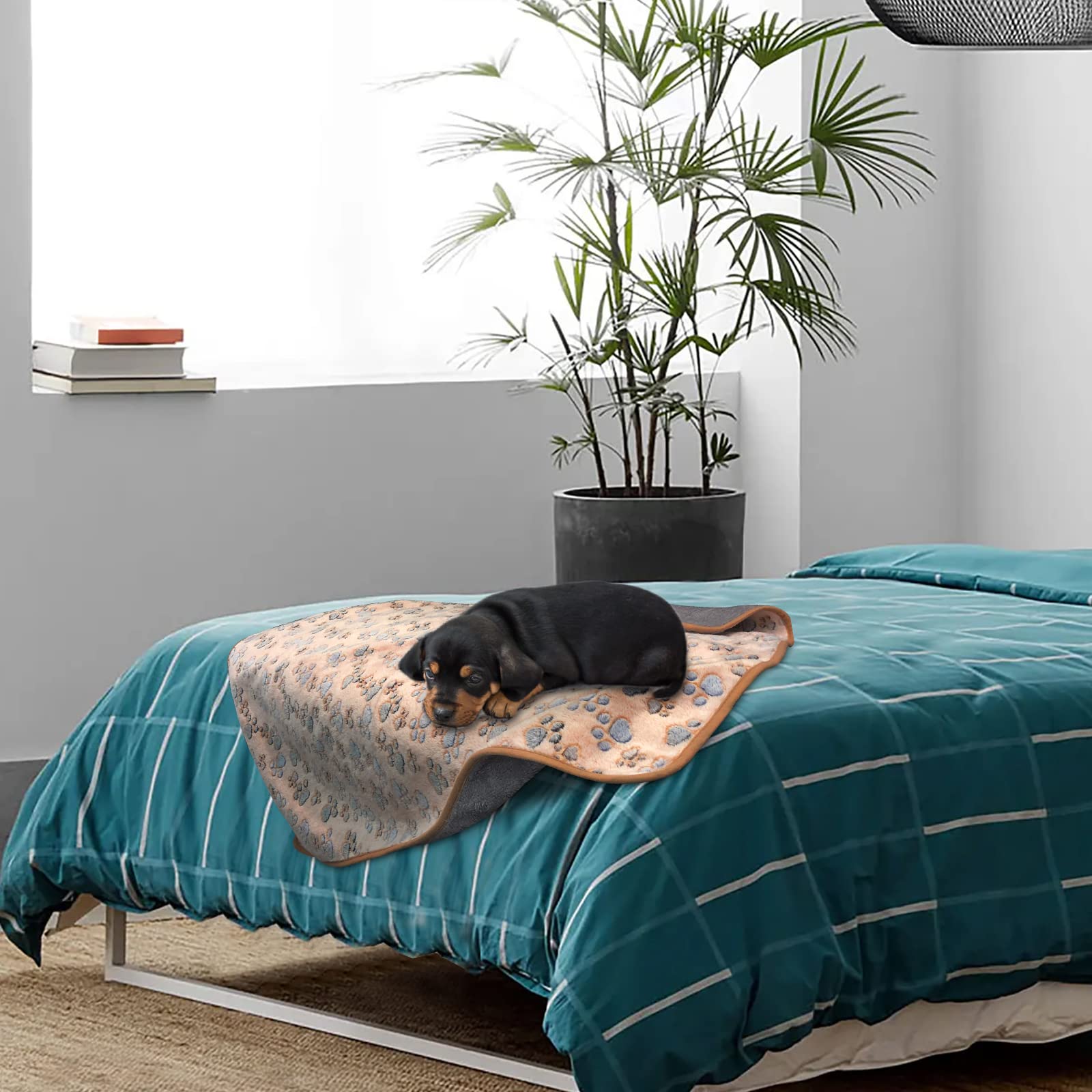 Set Di 2 Coperte Impermeabili Per Cani, Reversibili In Pile, Lavabili, Misura M (76x52 Cm) E L (104x76 Cm), Con Stampa A Zampa