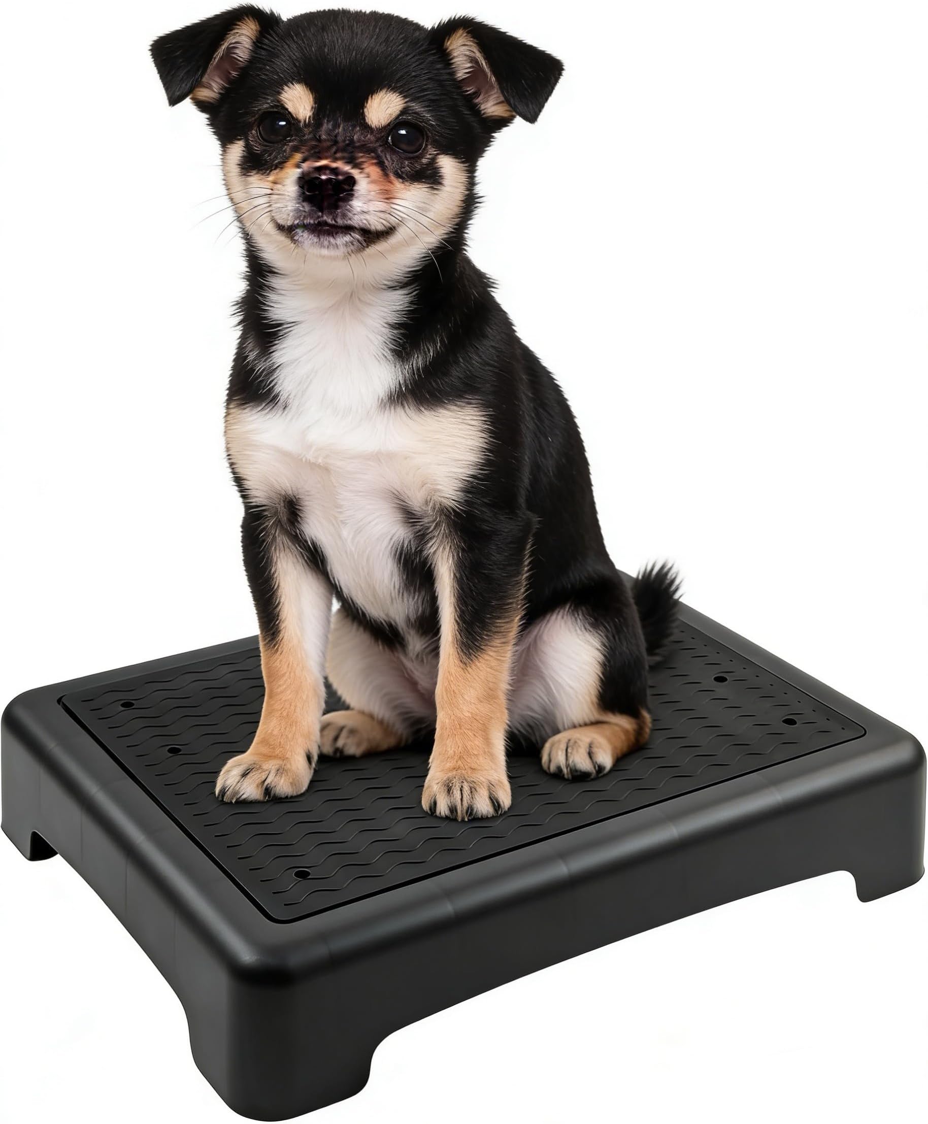 Dog Training Place Board with Non-Skid Surface, Dog Platform for Training, Portable Dog Agility Platform, Dog Training Stand, Dog Training Equipment Suitable for Small Dogs, 17x13x3.14Inch