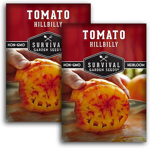 Survival Garden Seeds - Semilla de tomate Hillbilly para plantar - 2 paquetes con instrucciones para plantar y cultivar tomates de hoja de papa de