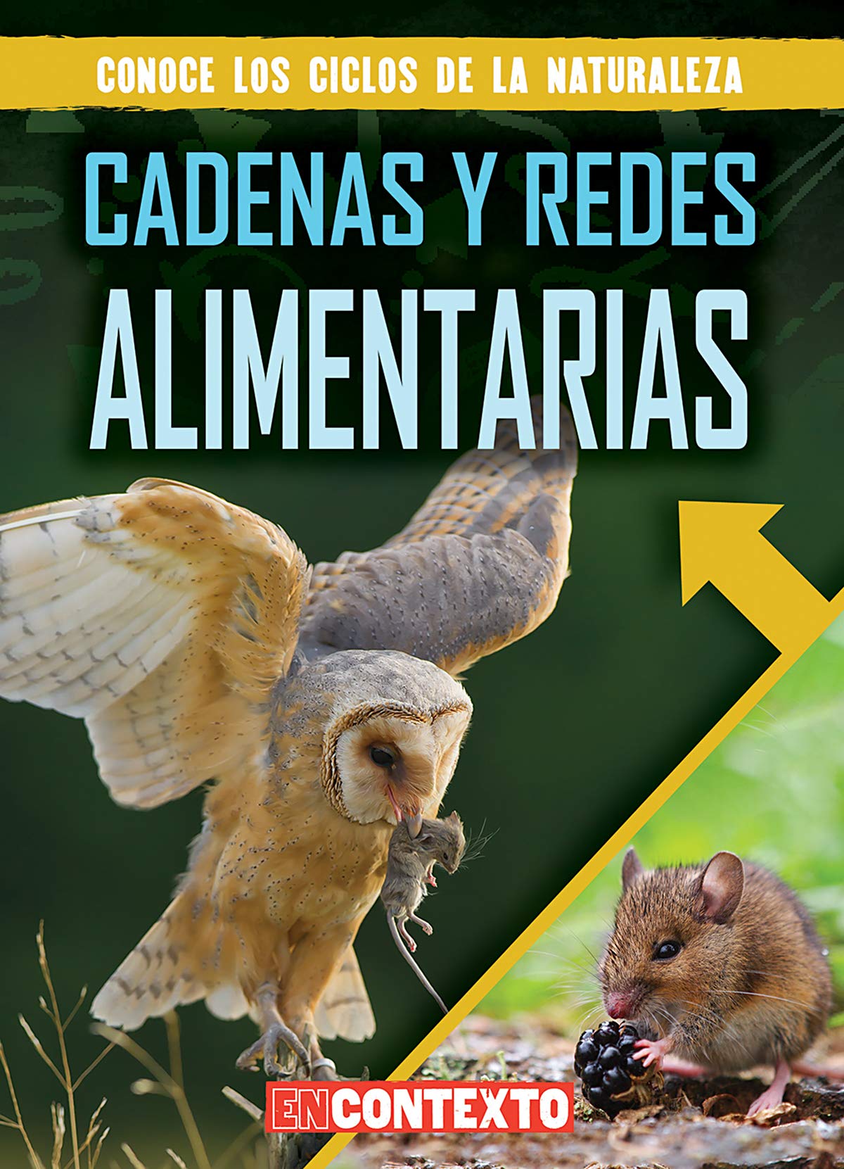 Cadenas y redes alimentarias (Food Chains and Webs) (Conoce los ciclos de la naturaleza / Look at Nature's Cycles) (Spanish Edition)