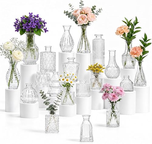 20 Pcs Clear Glass Bud Vases, Small Vintage Bud Vase Set for Flowers, Mini Glass Vases for Centerpieces, Wedding Decor, Baby Shower, Table Decorations, Home Decor, 3.1"-5.1"
