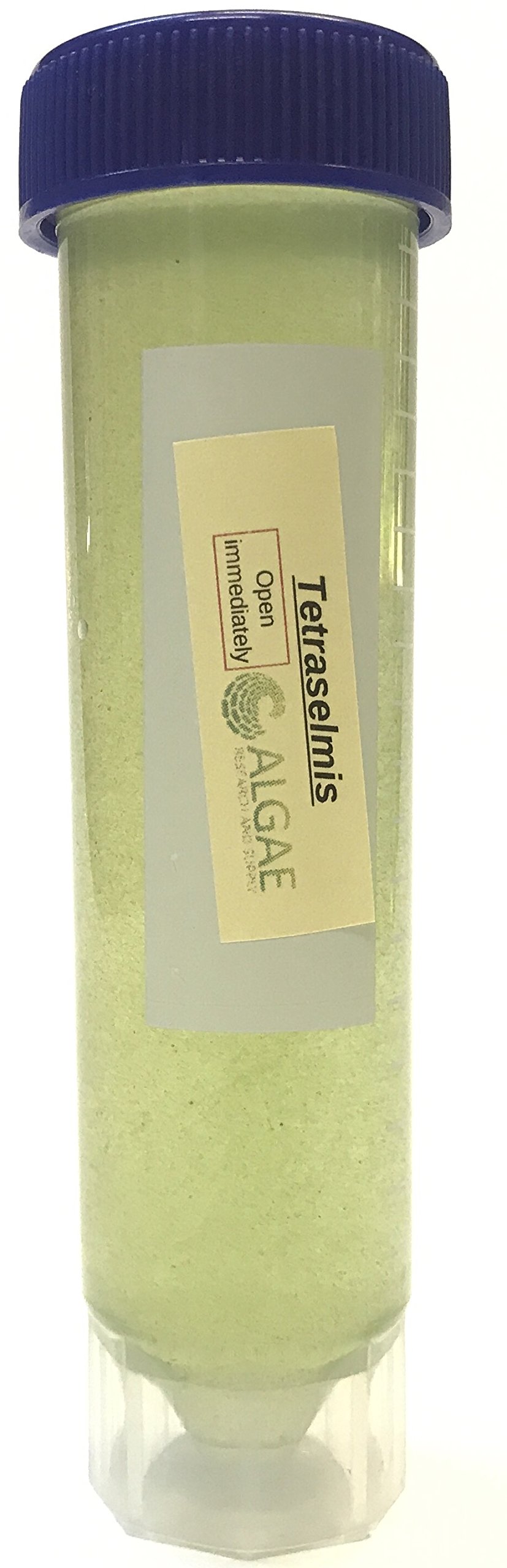 Algae Research Supply Algae Culture Tetraselmis Chuii, Perfect for School Science Fairs/Projects, Experiments & Classrooms (50mL)