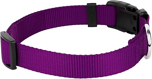 Miniatura 7 de Country Brook Design  Collar de nailon de lujo para perro con vibrante selección de 25 colores, Púrpura