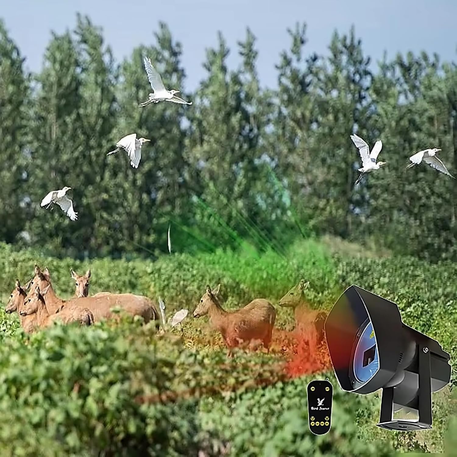 Repelente Láser Automático para Aves, Ahuyentador Láser De Aves | Escaneo Automático De Gran Angular De 120°, Resistente Al Agua Para Exteriores, Perseguir Palomas, Estorninos Y Gorriones