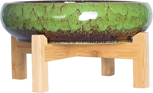 Miniatura 2 de ARTKETTY Maceta para suculentas, maceta grande de 10 pulgadas con soporte, maceta de cerámica para bonsái con pantalla de drenaje para desorden,