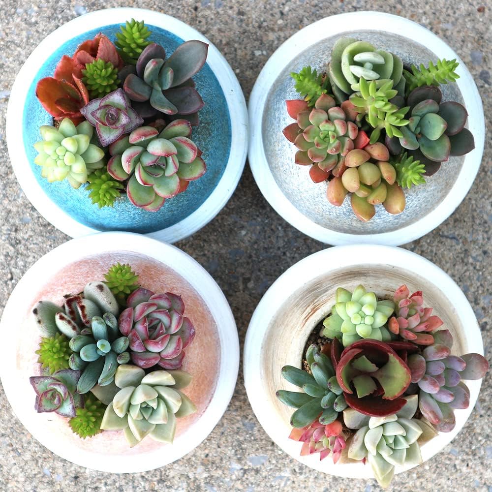 VALIEM ACT3 MM SMILEY Mサイズ バリエム 鉢 陶器鉢 プランター