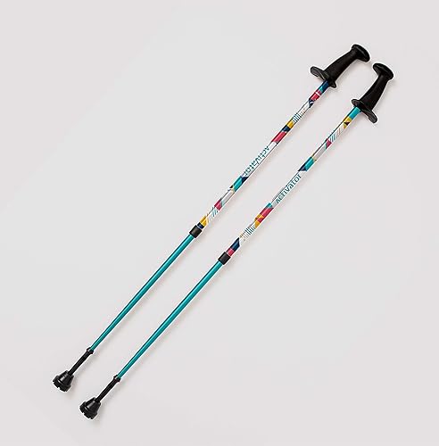 Urban Poling ACTIVATOR MODA con cestas de nieve y senderismo, plata con azul, verde y amarillo, 1 par - para usuarios de 4'2" - 6' - Bastones