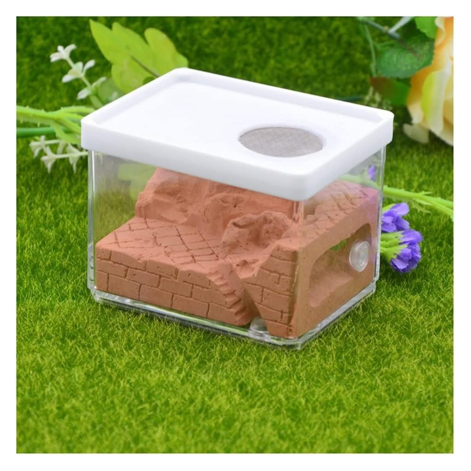Formicario Formicaio In Gesso, Nido Quadrato, Per Animali Domestici, Scatola Per Insetti, Laboratorio Utilizzato Per L'educazione Scientifica Delle Formiche Habitat Nido Terrario(Bruin)