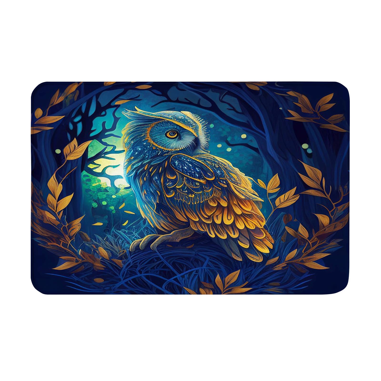 OOZ Non-Slip Flannel Soft Doormat Floor Entryways Outdoor Indoor Front Door Mat,A Colorful Blue owl Design Bath Mat,Multicolor