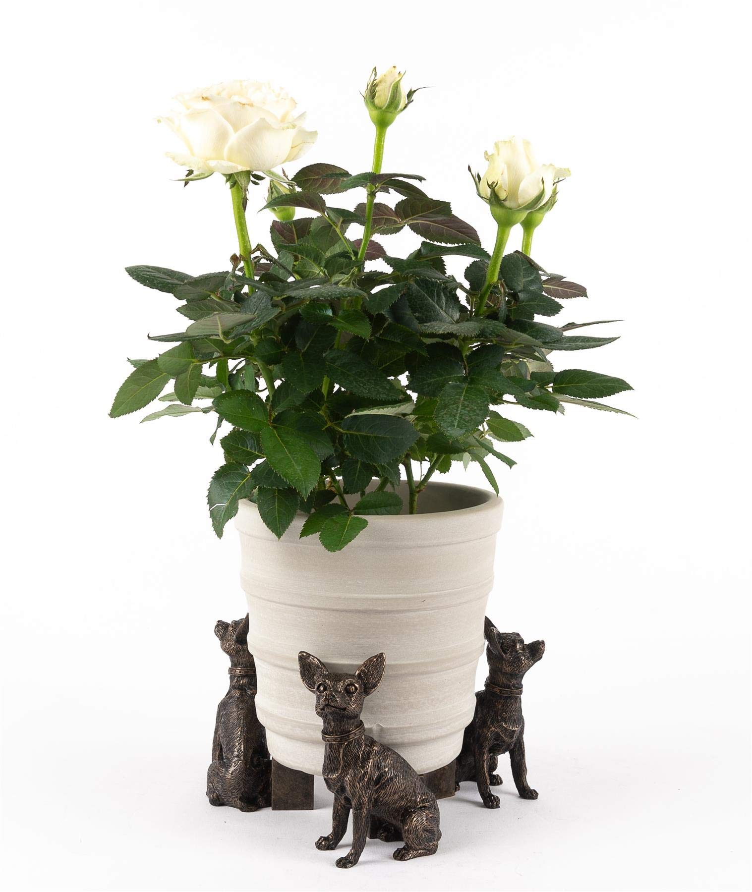 Potty Feet Chihuahua Figures Plant Pot Feet - Planter Support - Handmade Decorative Ornaments - 3pcs