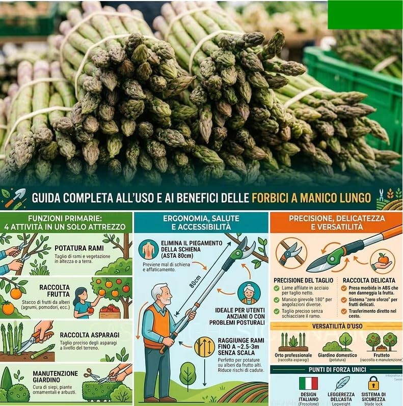 FORBICE DA POTATURA RACCOGLI FRUTTA E ASPARAGI DE LUCA MANICO PROLUNGATO 100 cm
