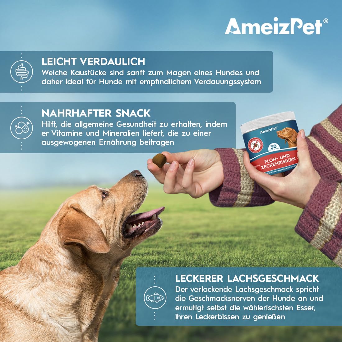 AmeizPet Floh Und Zeckenschutz Für Hunde, Zeckenschutz Hund, Anti Floh Hund Verstellbar Floh-Und Zecken Prävention, Verdauungsenzyme Für Alle Rassen Geeignet, 30 Hunde Leckerlis, 67.5g (2.3 Oz)