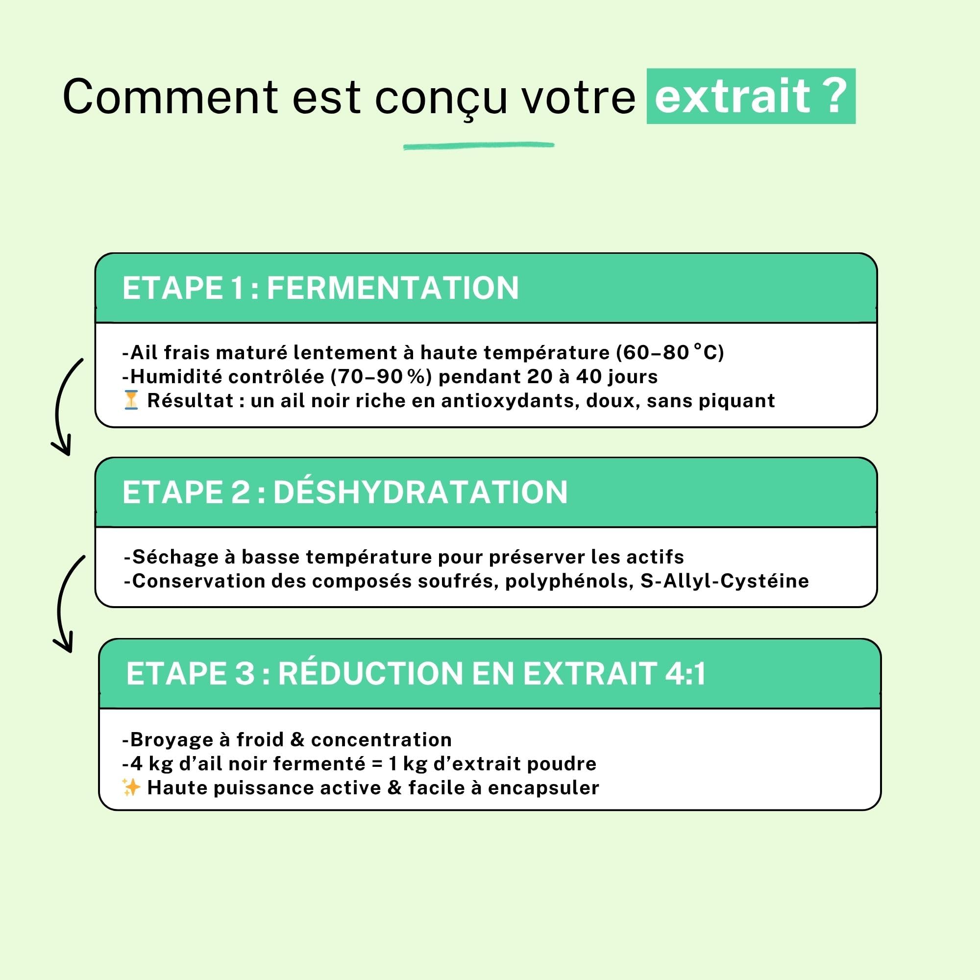 Ail Noir Extrait Poudre 4:1 – Cure 2 Mois, Soutient le Cœur, Favorise la Circulation et les Défenses Naturelles – Antioxydant d’Origine Fermentée | Conditionnée en France, RUE DES PLANTES (500g)