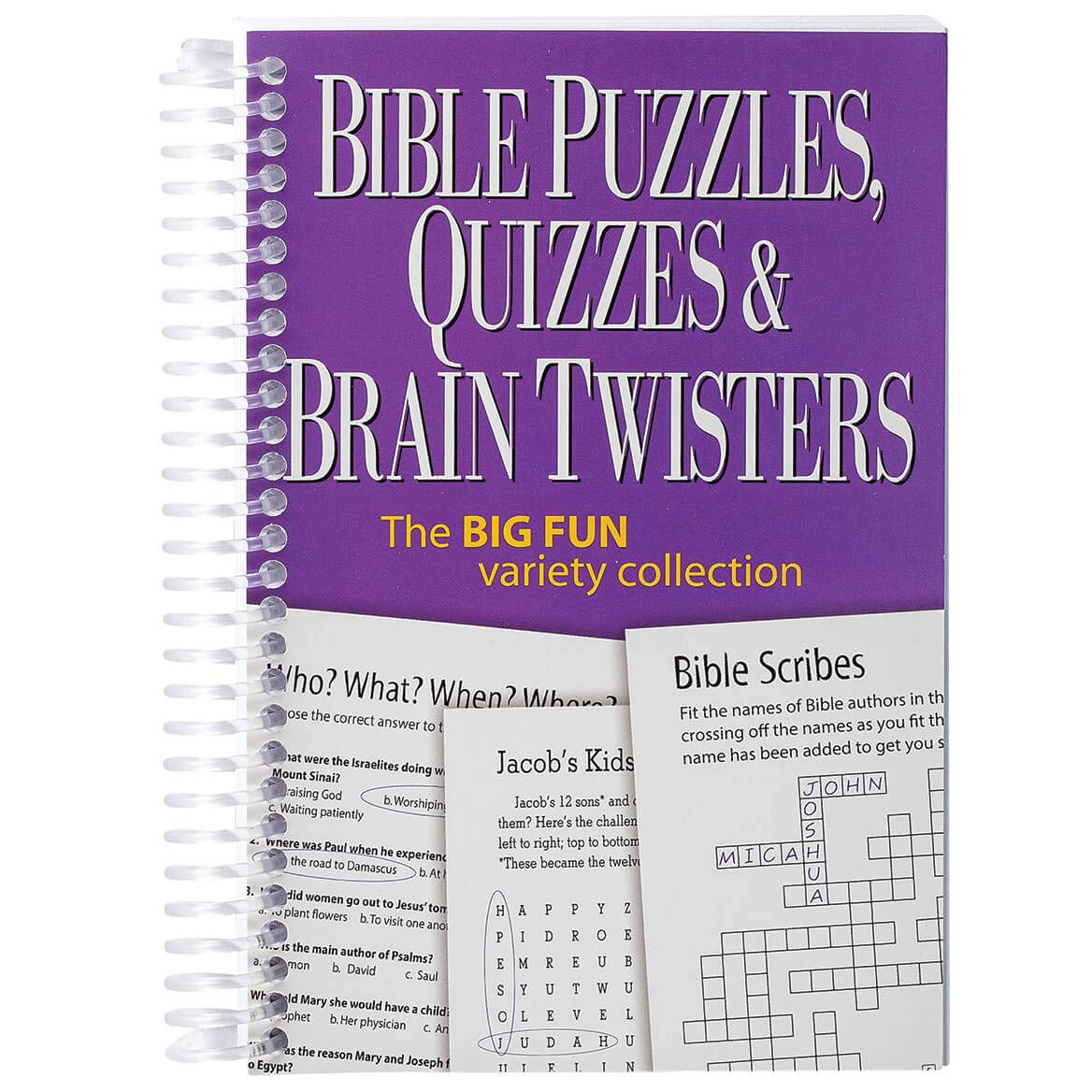 Bible Puzzles, Quizzes & Brain Twisters: The Big Fun Variety Collection Paperback – January 1, 2013