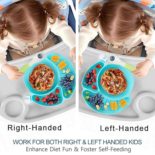 Miniatura 6 de Matyz Platos de succión de silicona para bebés con succión (azul) - Platos divididos para niños antideslizantes - Platos 100% silicona de grado