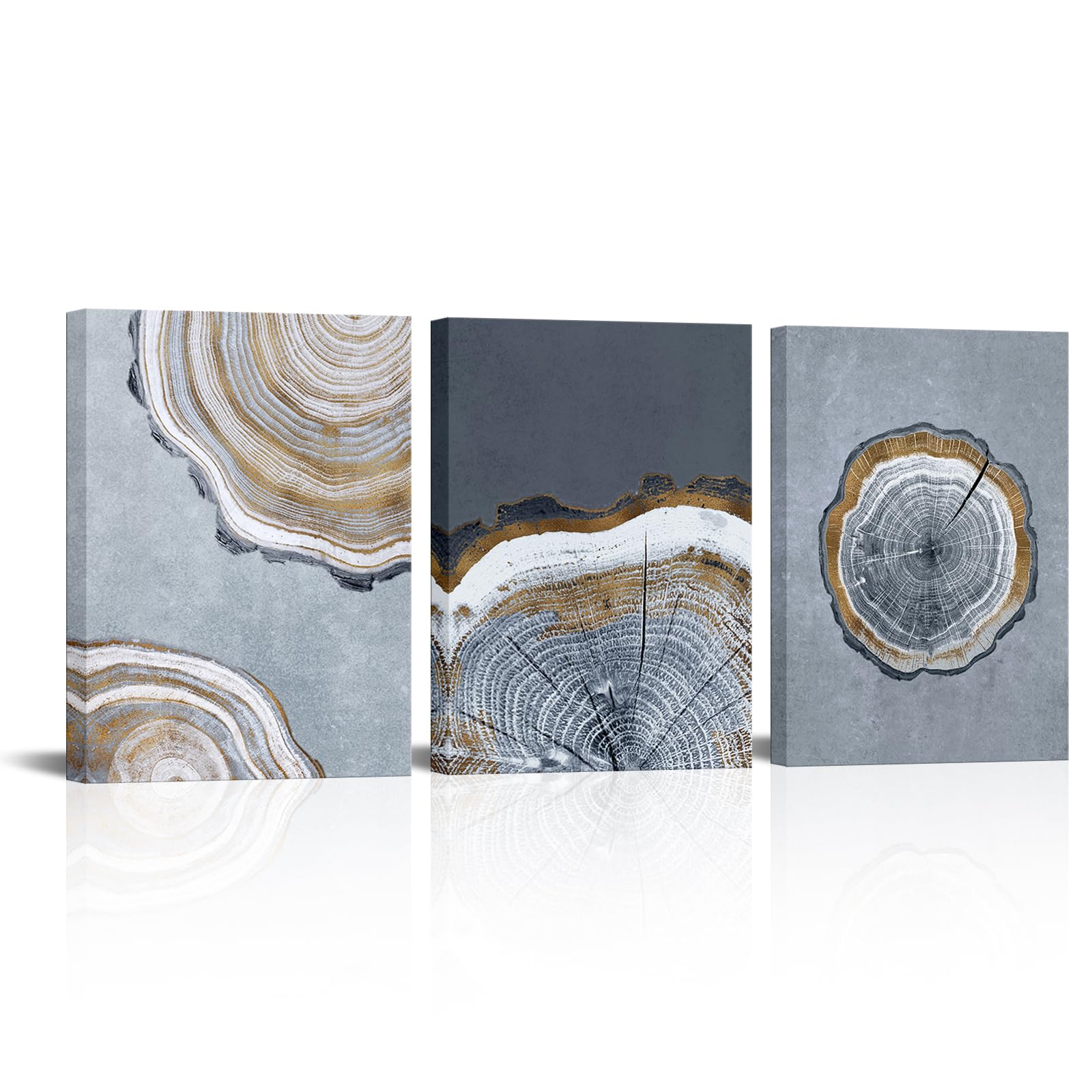 DuoBaorom 3 Pieces Vintage Wood Tree Ring Canvas Wall Art Abstract Nature Wilderness Contemporary Minimal Arftwork for Bathroom Bedroom Living Room Ready to Hang 12x16inchx3pcs (Blue)