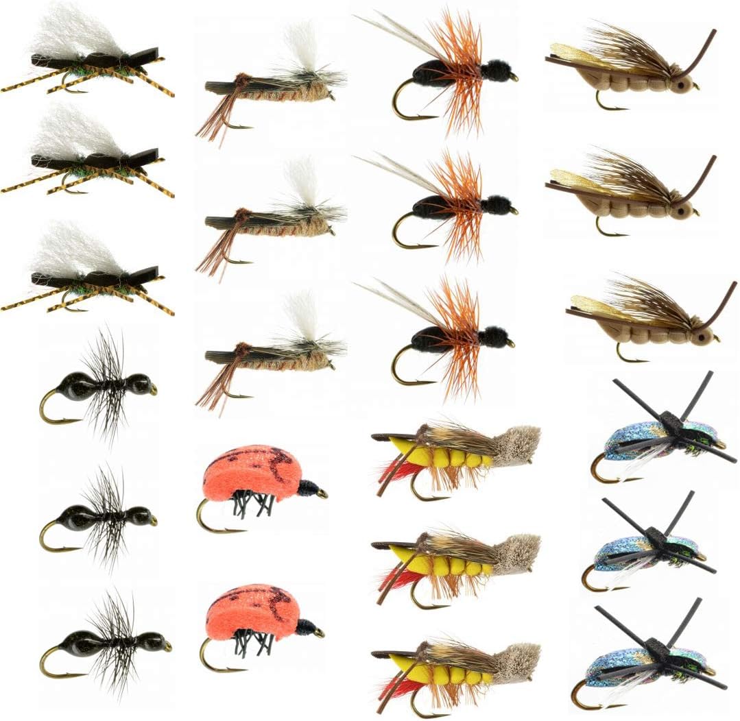 Terrestrial Dry Fly Fishing Flies – Fishing Kit w/Fly Box & 12 Dry Flies for Trout Fishing – Realistic and Effective Fly Fishing Gear – Trout Flies for Fly Fishing on Strong Sharp Hooks