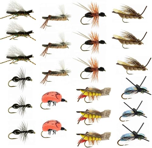 Moscas terrestres de pesca con mosca seca – Kit de pesca con caja de moscas y 12 moscas secas para pesca de truchas – Equipo de pesca con mosca