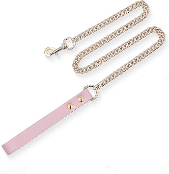 Durable Aluminum Choker Chain Leash, 38 Inches Metal Leash with Leather Handle for Collars