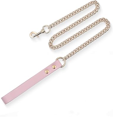 38" Aluminum Chain Leash with Leather Handle for Collar