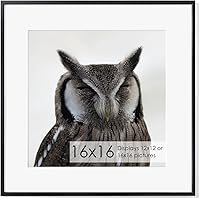 Vista 395 de Fun Memories Portarretratos de metal de 16 x 20 pulgadas con paspartú de 11 x 14 pulgadas, acabado de aluminio cepillado, parte delantera de vidrio