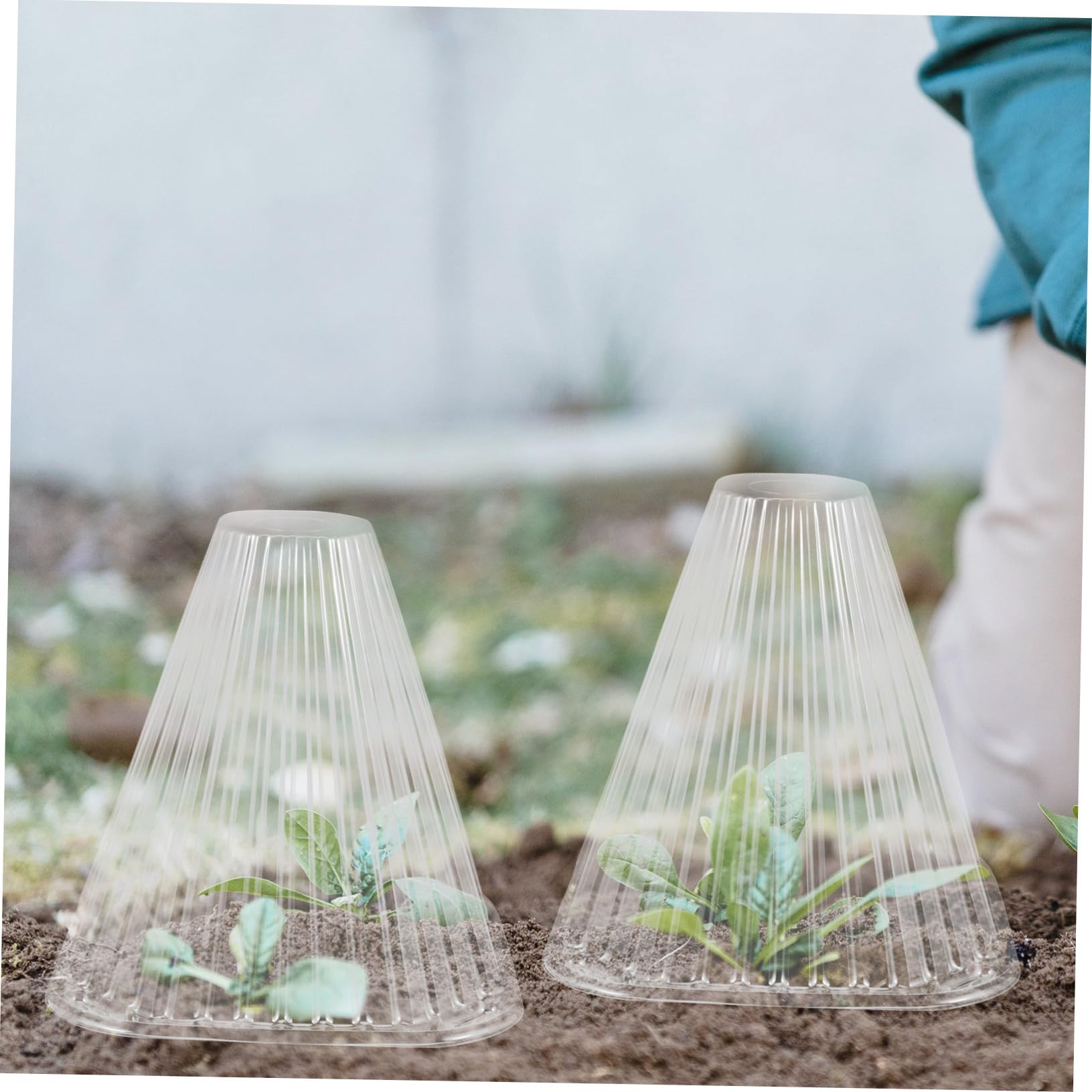 Cloche de Jardin Conique en Pet 10 Pcs pour Protection Antigel des Plantes et Fleurs, Facile à Installer, pour Jardinage Extérieur et Intérieur
