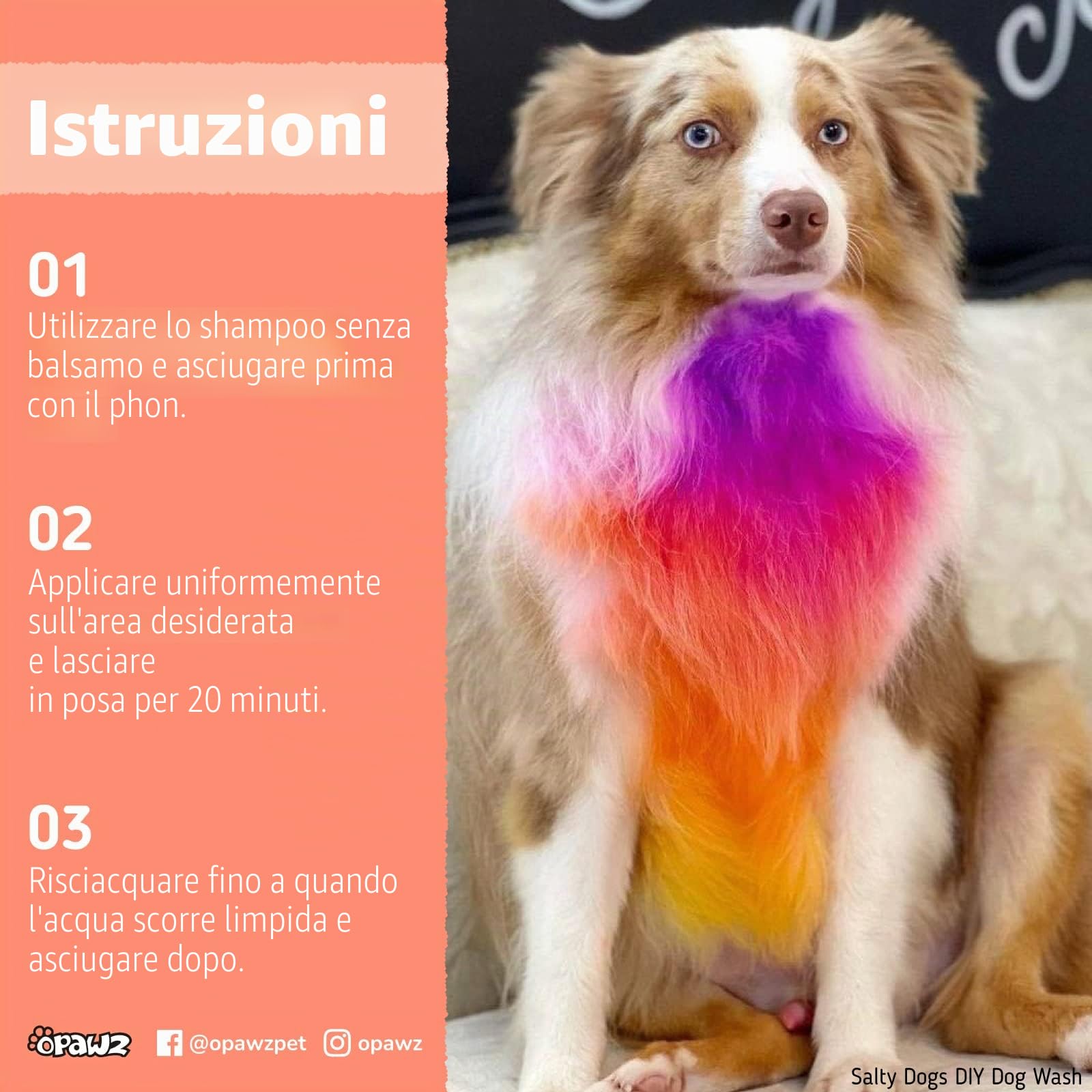 OPAWZ Semi-Permanente Tintura per Cani, Pigmenti Alimentare, Professionale Colorante per Cani, Gatti e Tutti gli Animali che Possono Essere Lavati (Shocking Rosa)