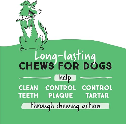 Miniatura 3 de Ultra Chewy Denta-Mint Minis - Paquete económico de golosinas dentales para perros Hecho en los Estados Unidos golosinas saludables fáciles de