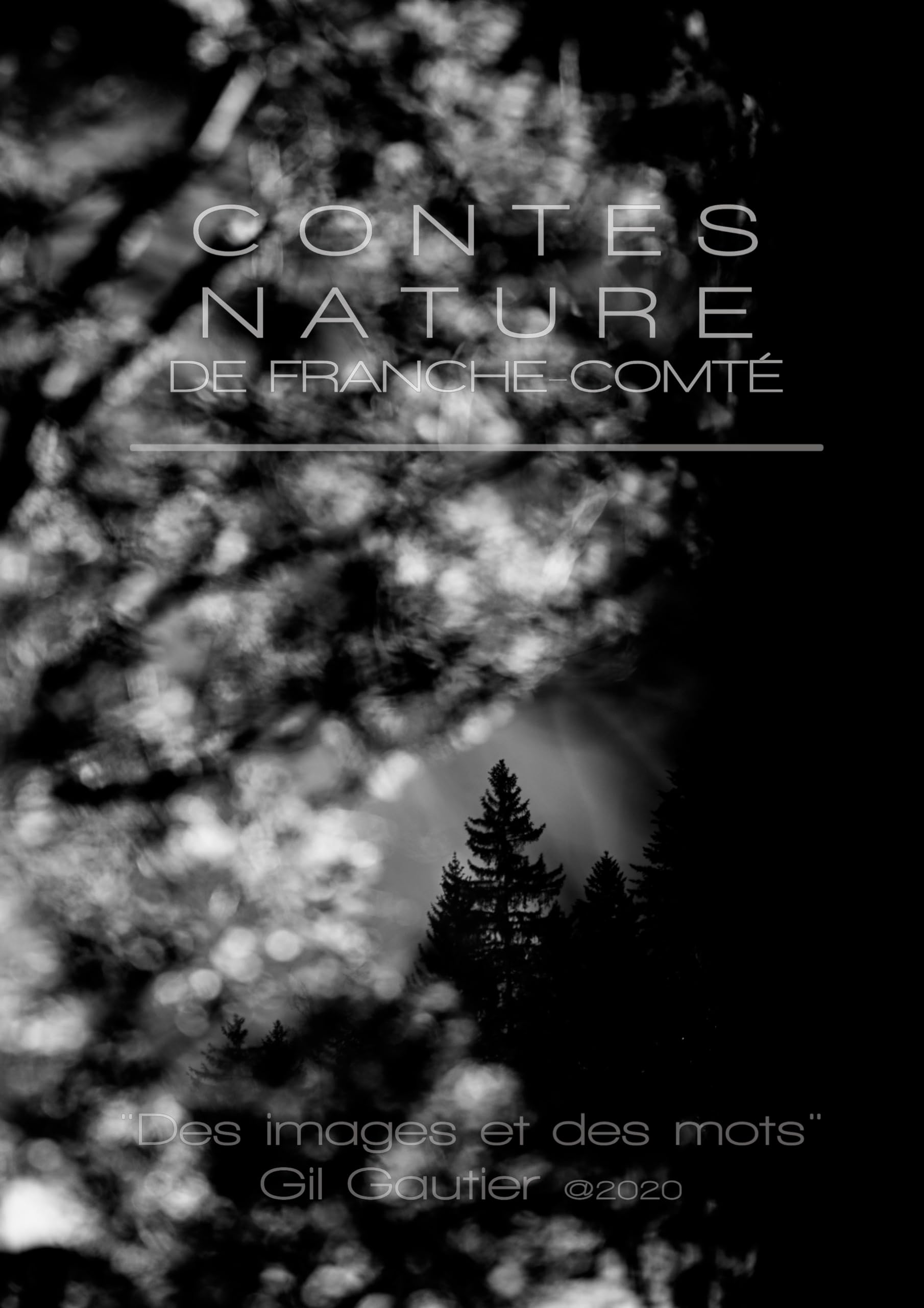 Contes Nature de Franche-Comté beau livre pour vos lectures au coin du feu