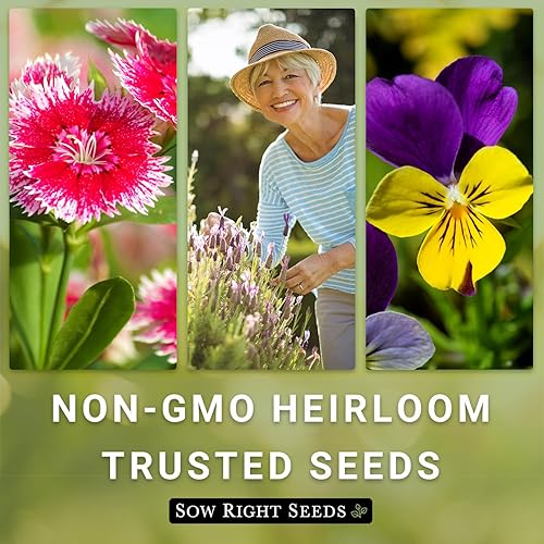 Miniatura 7 de Sow Right Seeds - Semillas de tomillo rastrero a granel para plantar - 0.09 oz, 18500 semillas - Paquete jumbo de reliquia sin OMG con instrucciones