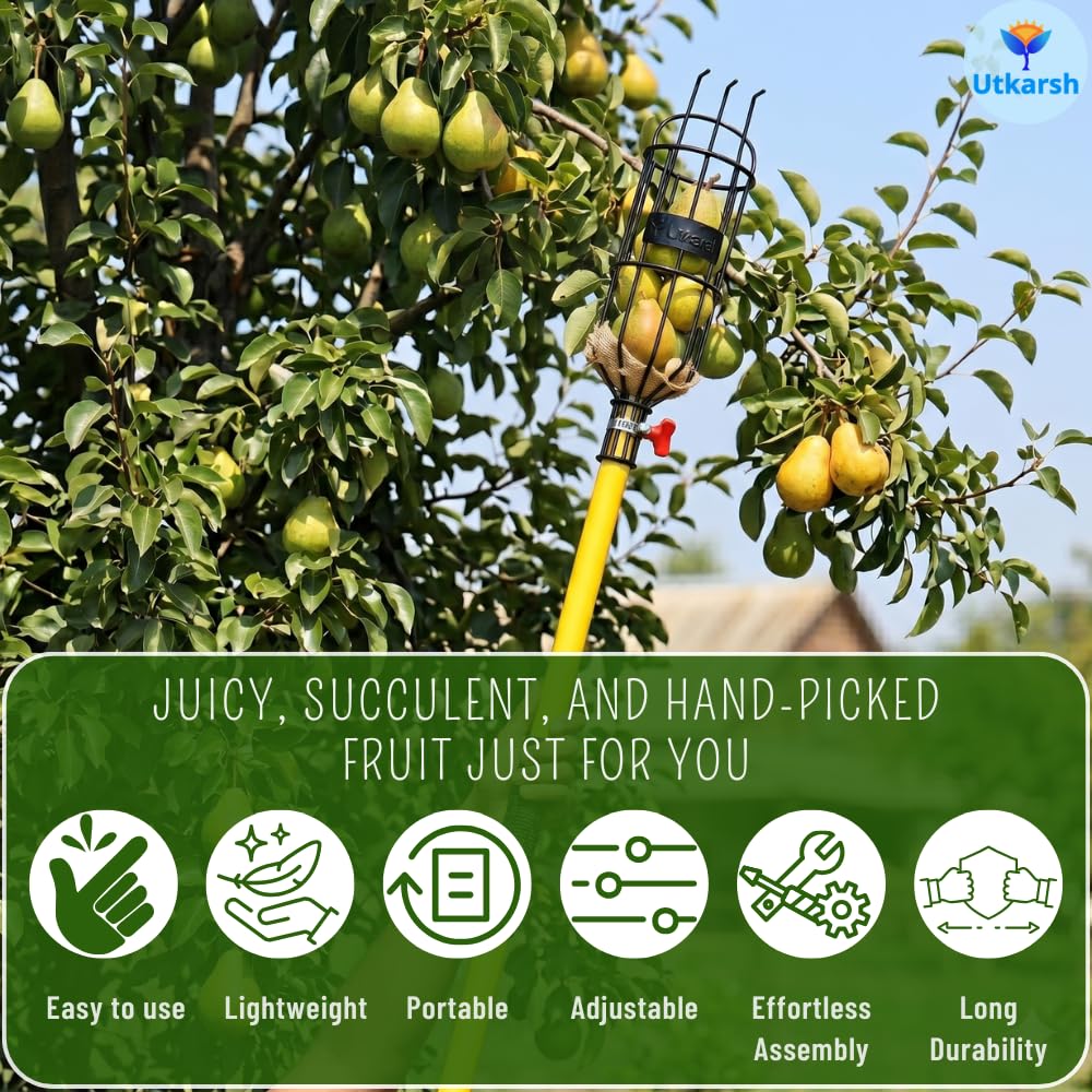 Utkarsh Lemon Picker Basket | Small Fruit Plucker Basket for Lemon, Apple, Pear, & More | Easy to Use Fruits Catcher | Fruit Picker for Convenient & Safe Harvesting - Set of 1 PC 2