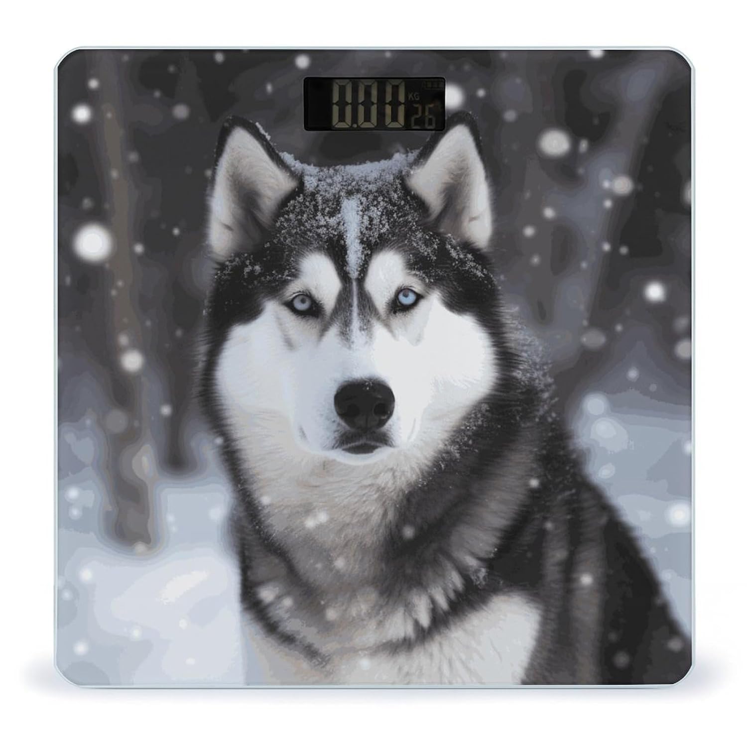 Bascula digital para peso corporal Husky in Snow Dog, pantalla LCD grande, construcción en vidrio templado