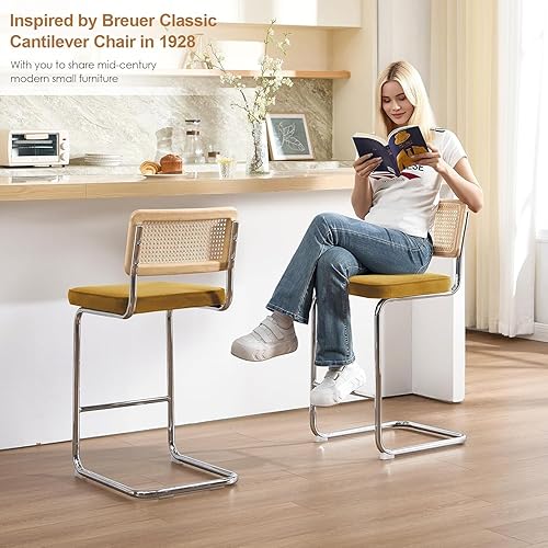 Miniatura 7 de Zesthouse Juego de 2 taburetes de bar de ratán natural, 26 pulgadas, modernos y bohemios de altura de mostrador con respaldo de madera maciza,