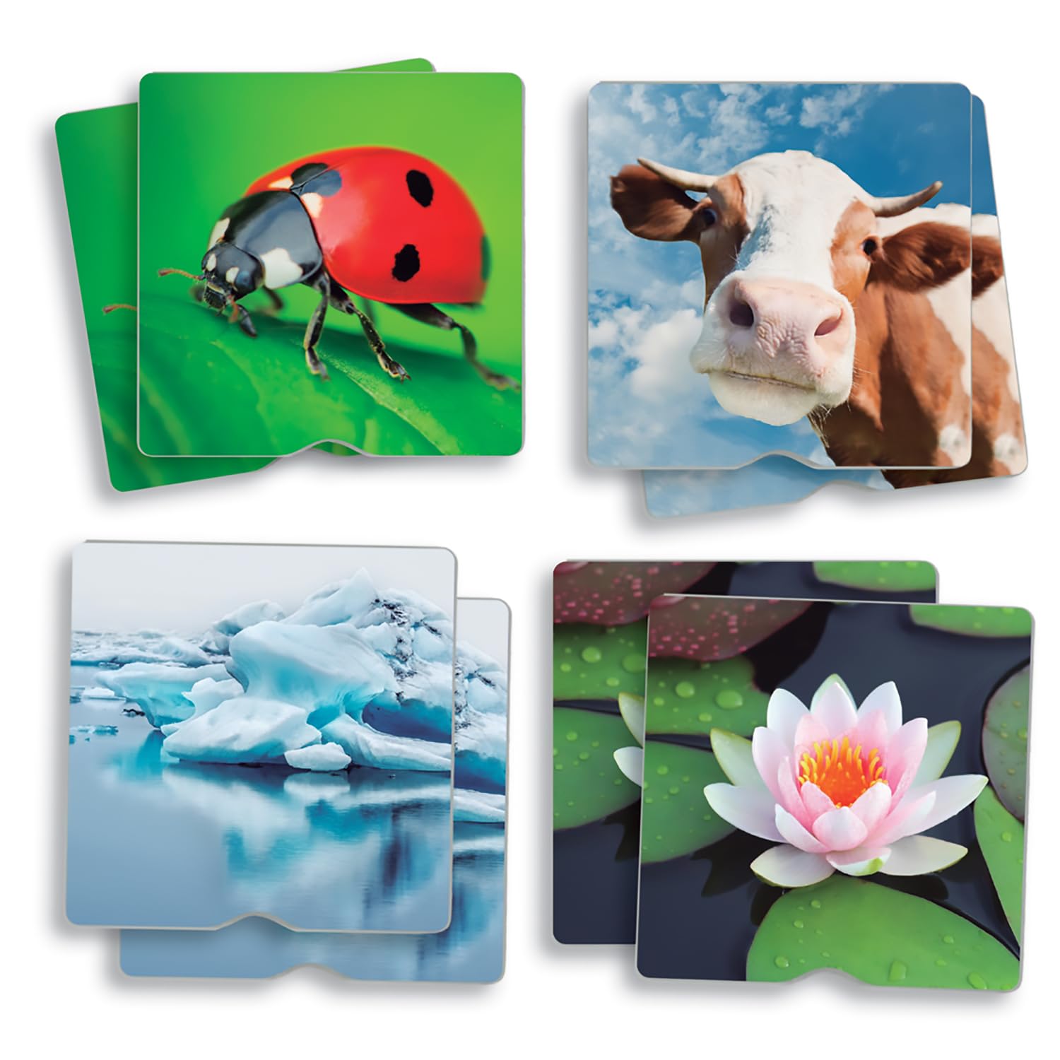 Akros (AKRP1) 20411 Akros Touch Maxi-Memory Nature The Senses, Multicolore