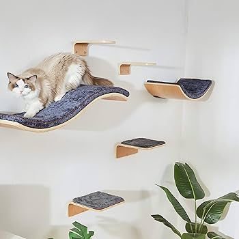 Amazon.com : LIORCE Cat Wall Shelf with Two Steps - Curved