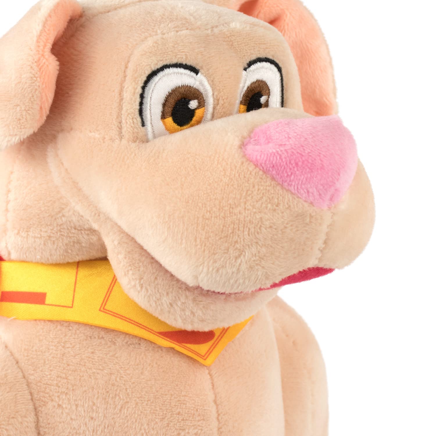 PLAY BY PLAY DC COMICS - Super Pets Plush Figure Crypto and the Super  Animals - 25cm - Krypto Le Super Chien-DCP023 : Amazon.se: Toys