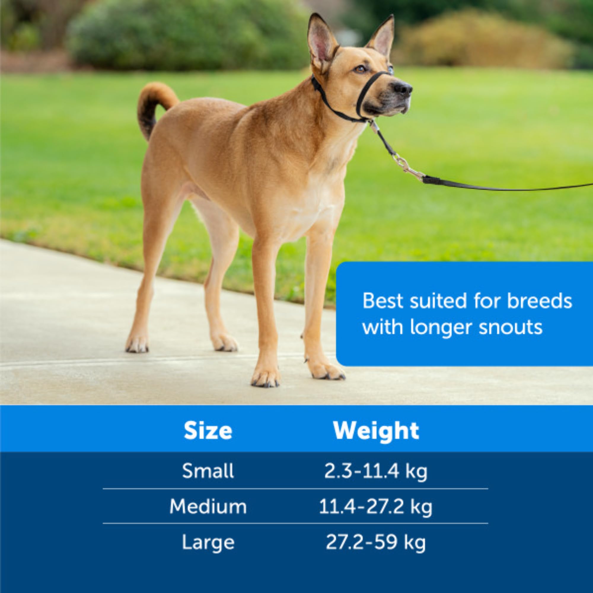Collar para Perro Premier Easy Walk, Color Negro, Talla M