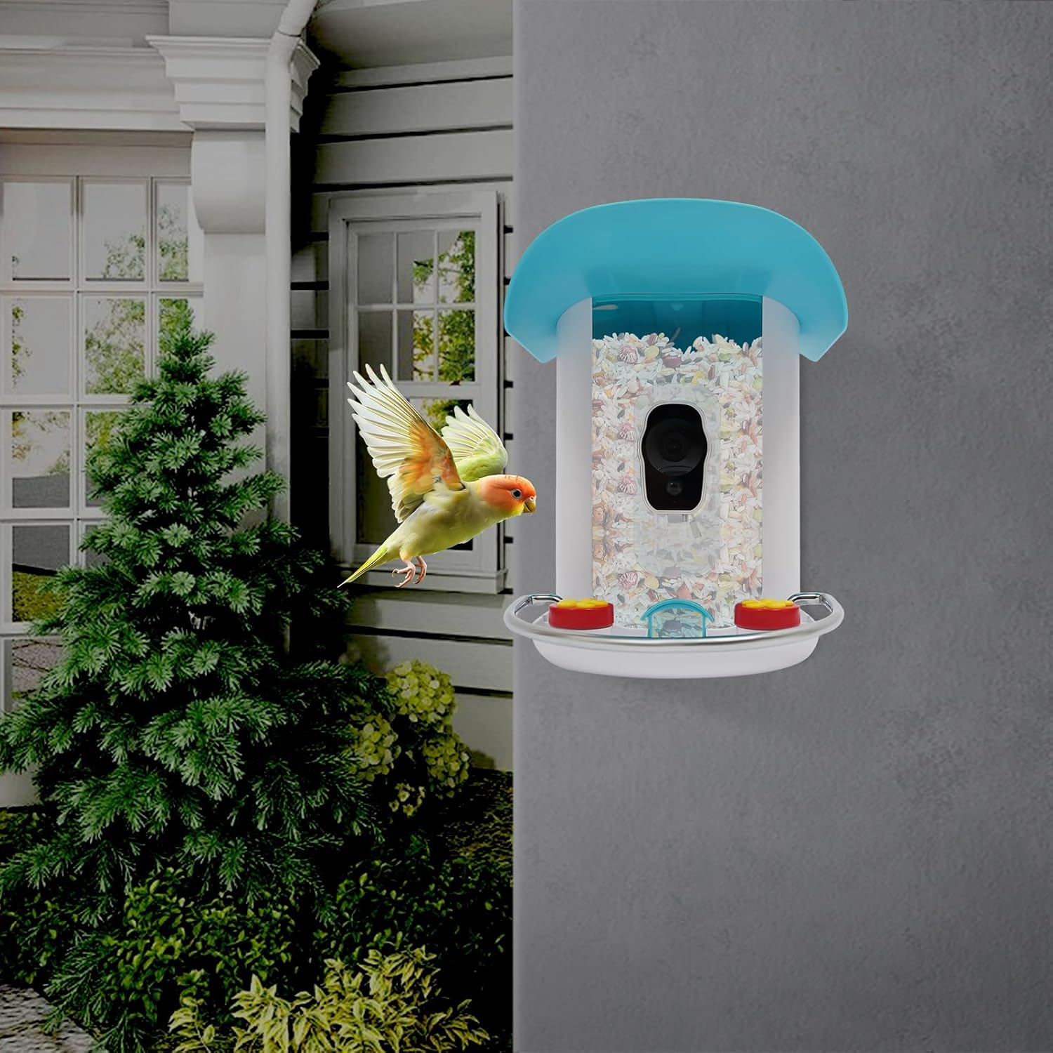 Solar Powered Smart Bird Feeder, WiFi Enabled Automatic Feeder with Live Video for Remote Monitoring & Bird Care for Nature and Pet Bird Owners