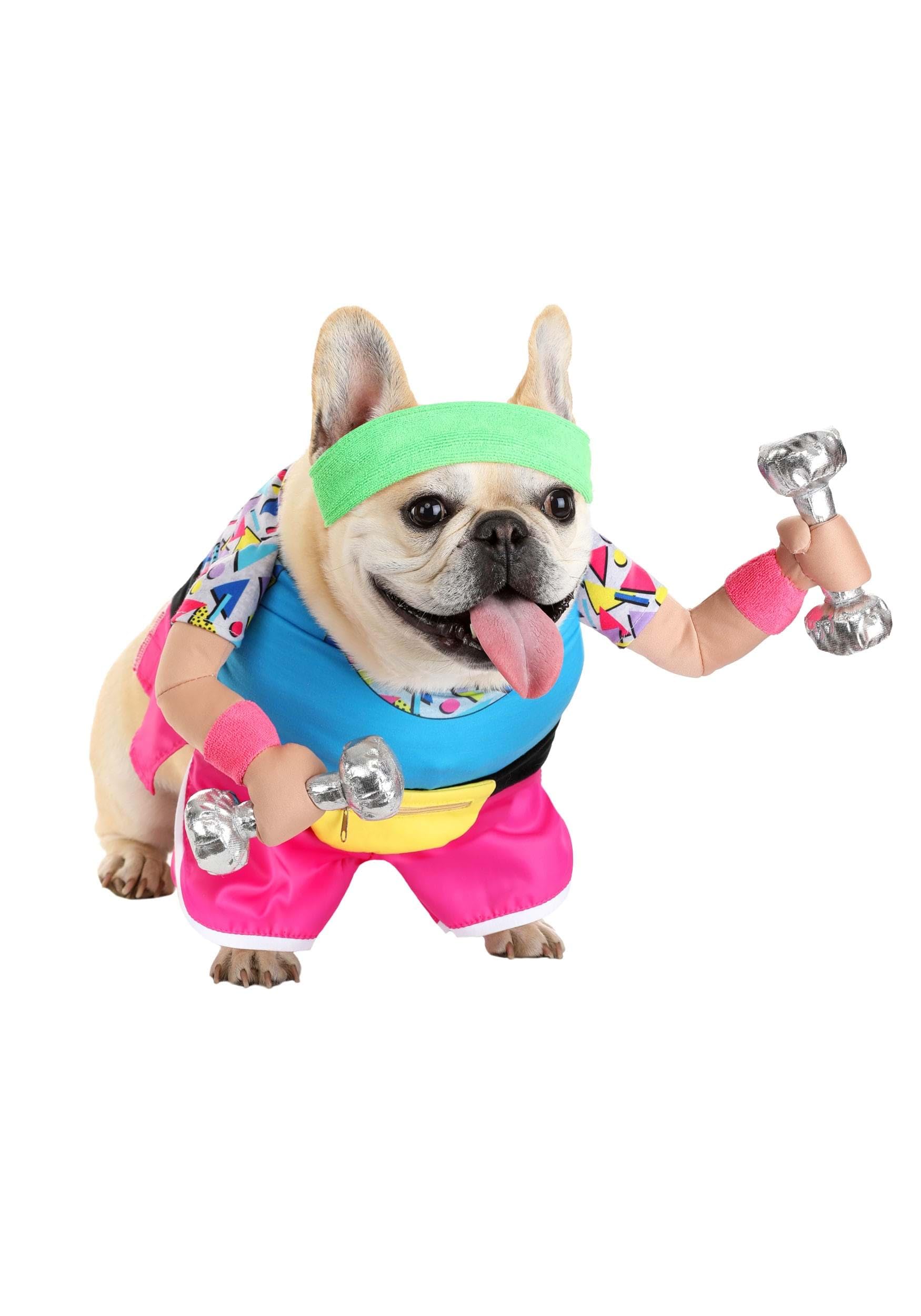 1980s Work Out Pet Costume - Bodysuit and Headband, Comfortable and Adjustable Fits M