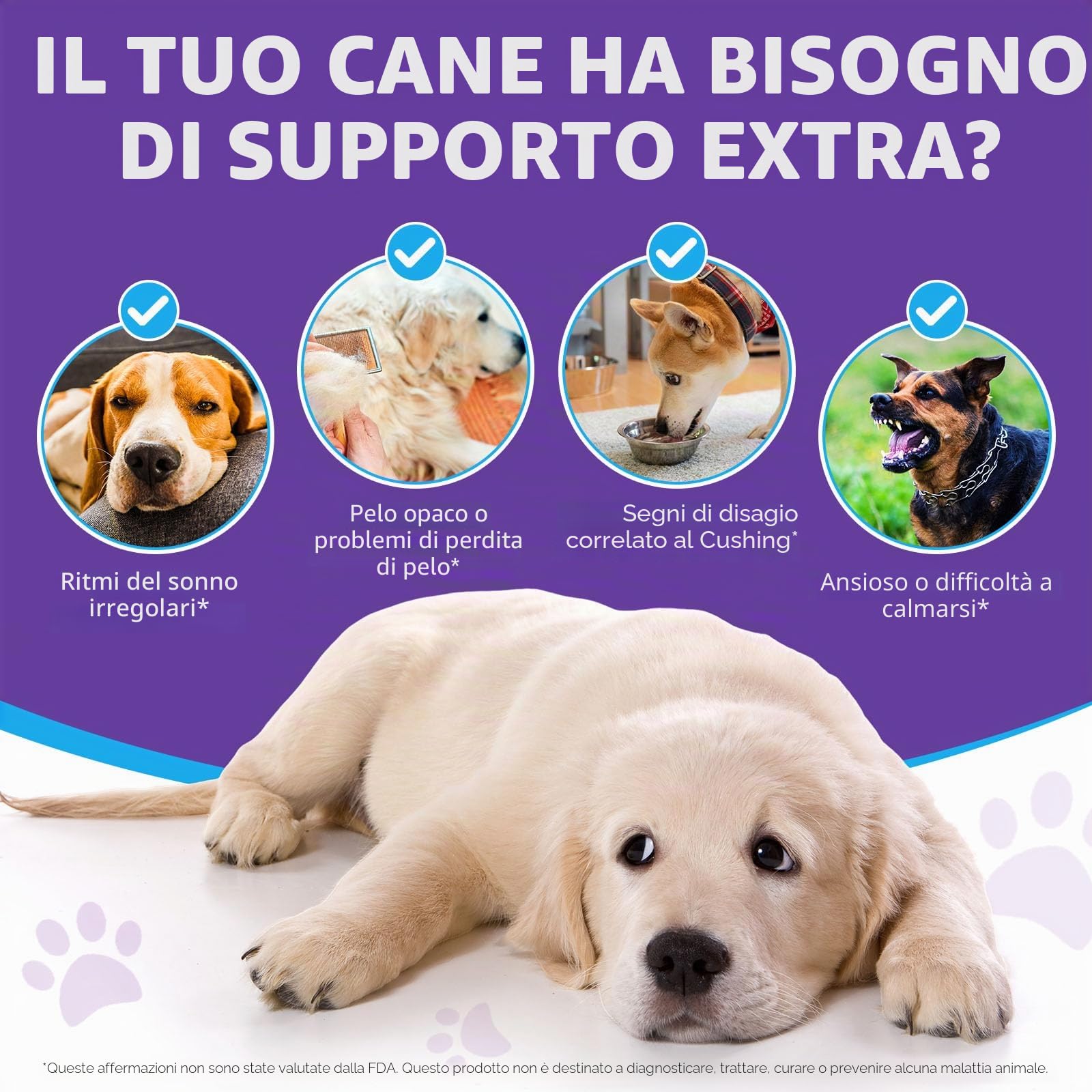 I segnali dei cani sopportano il rumore più forte, in tutti i tipi e dimensioni