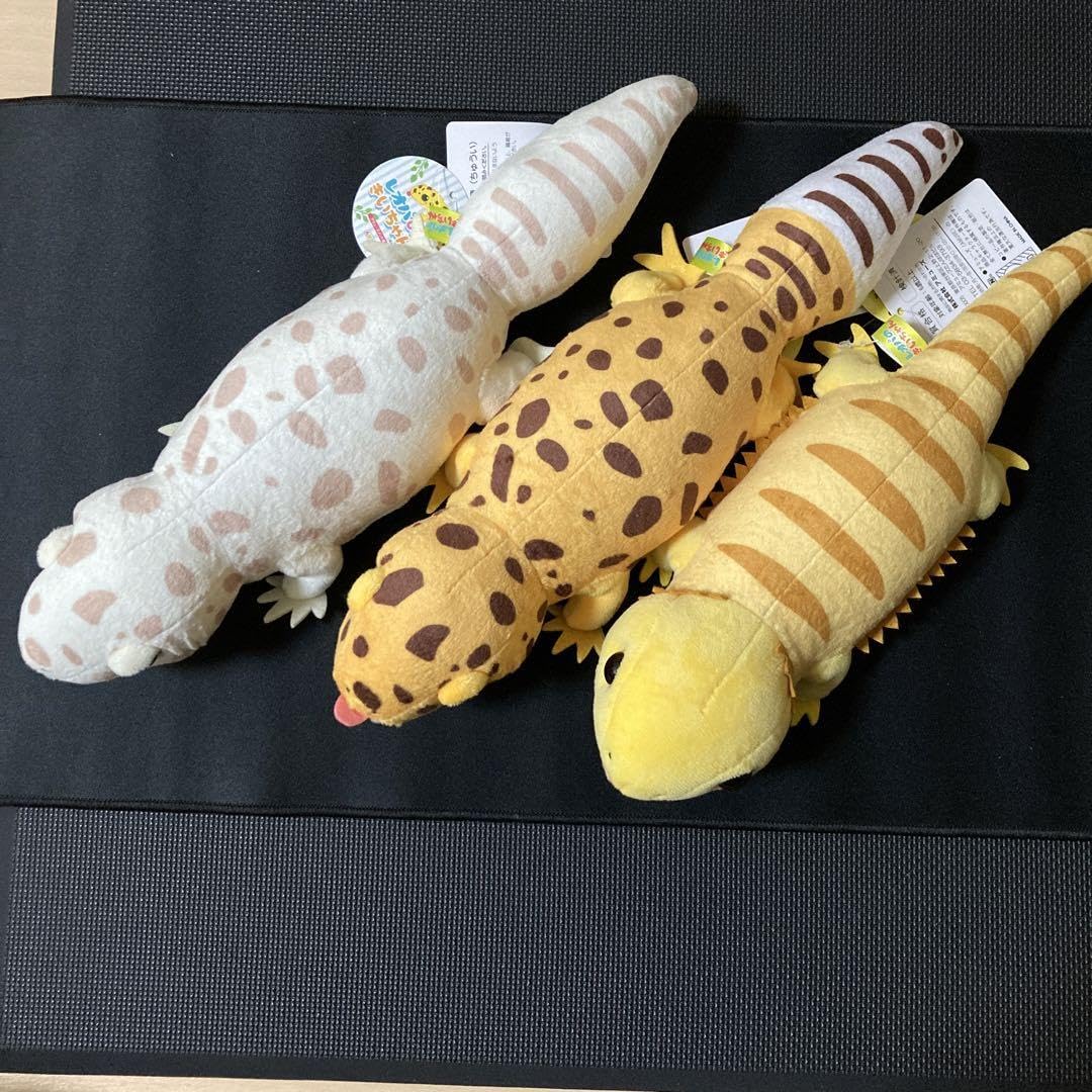 パイネ・レオパード ぬいぐるみ パイネ・レオパード ぬいぐるみ 入荷待ち】ヒョウモントカゲモドキ
