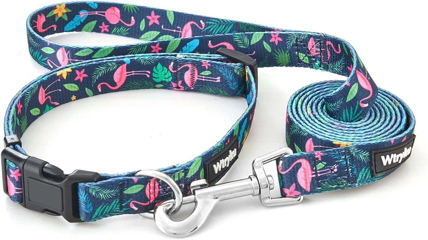 Dog Collars and Leash for Small, Medium Large Dogs Daily Outdoor Walking Running Training, Adjustable Personalized Puppy Boys Girls…
