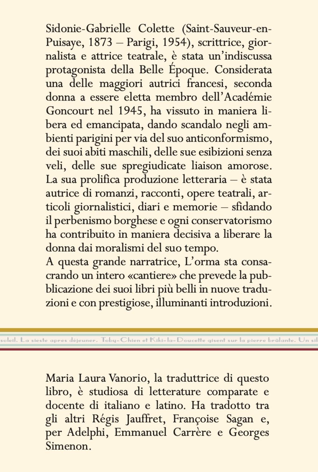 La gatta