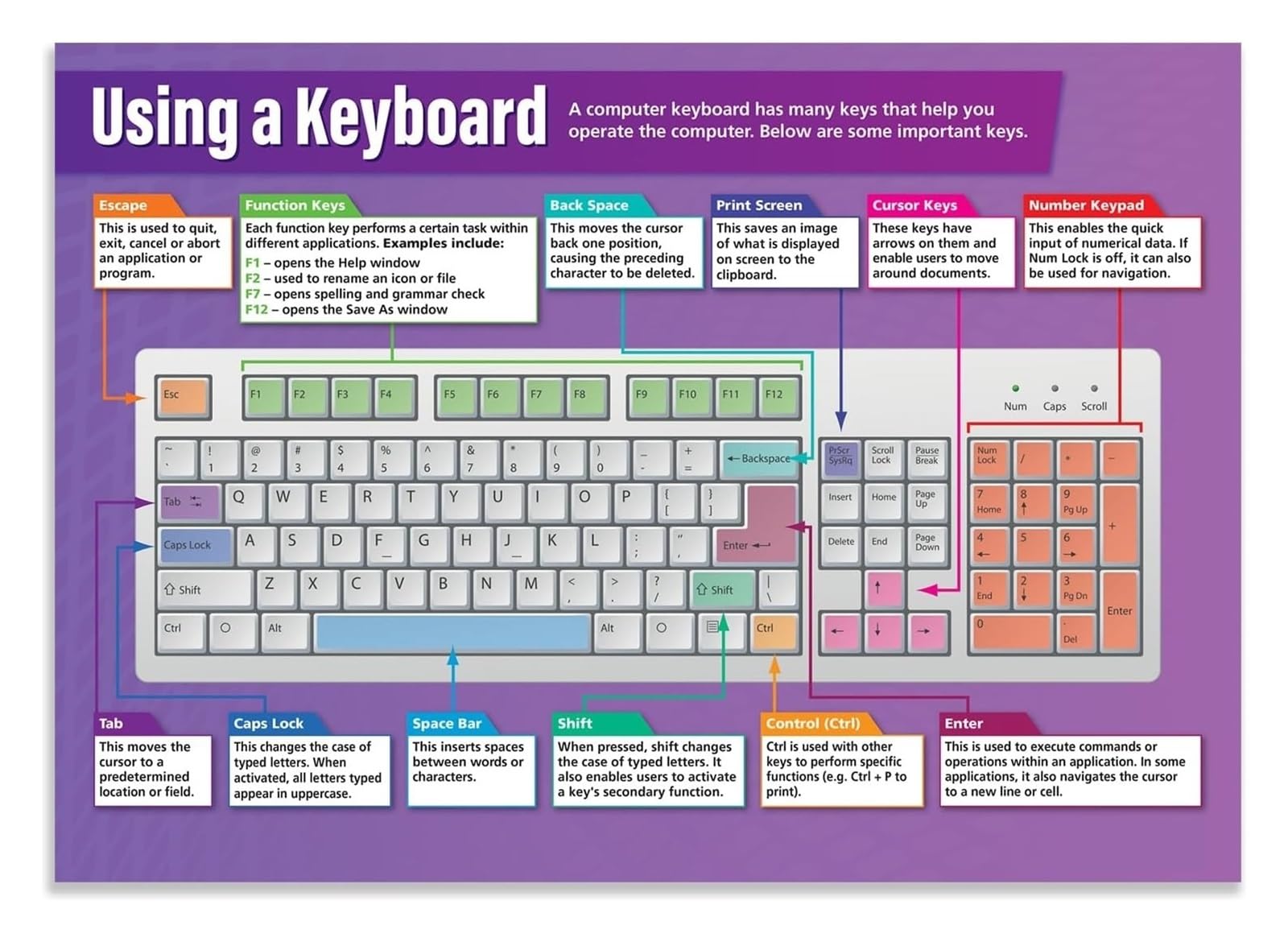KCDFDVJFBM Typing and Keyboard Shortcuts Poster Computer Educational Chart for Technology Classroom School(Unframed,08x12inch(20x30cm))