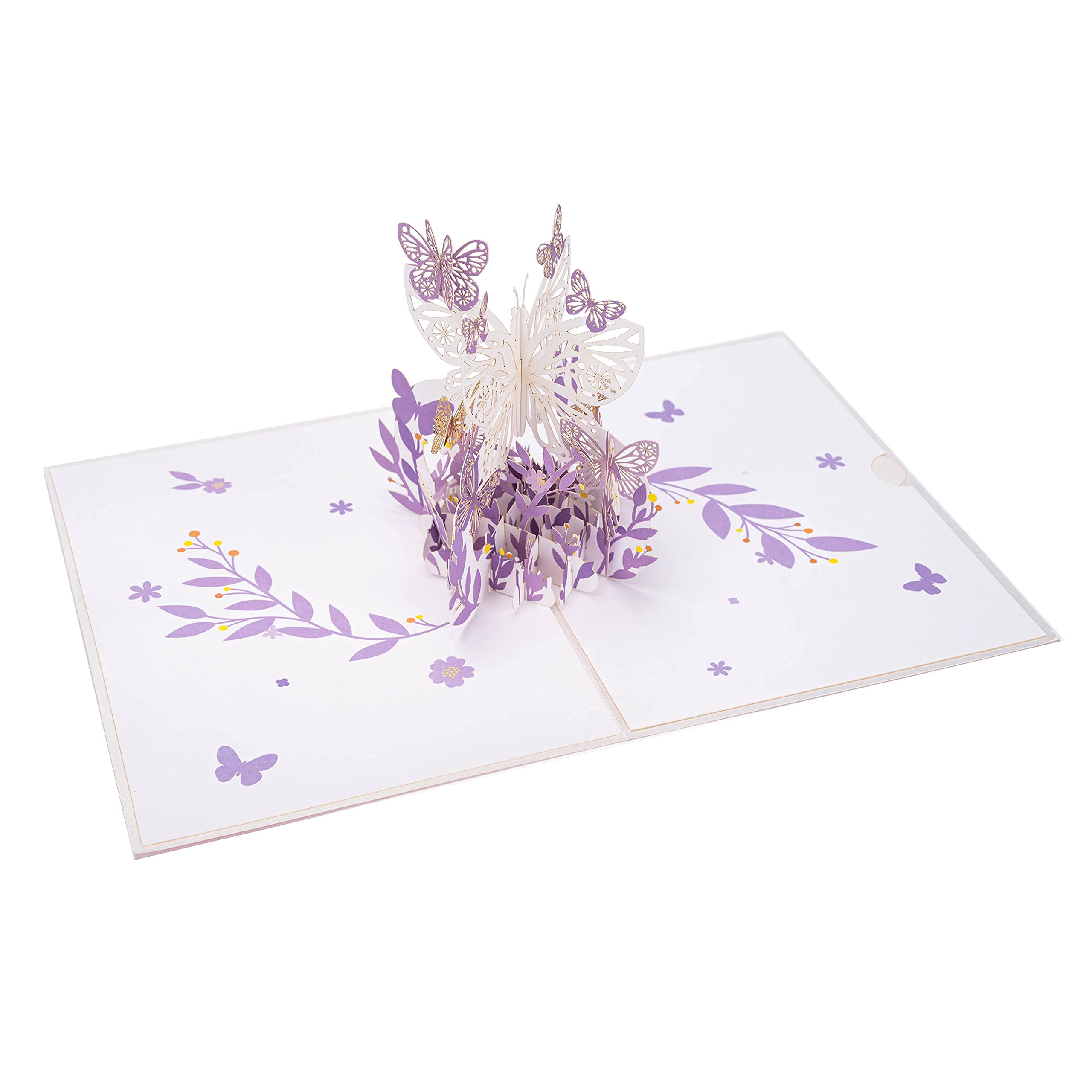 Biglietto Auguri Pop-Up 3D Con Uccello – 'Get Well' – 15x20 Cm Con Busta – Per Mamma, Amici, Compleanno - 2