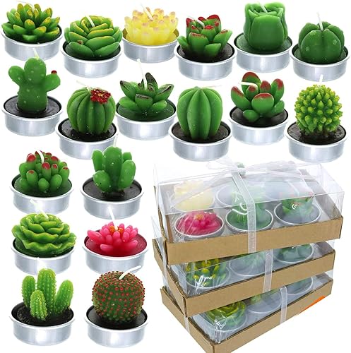 GIFTEXPRESS 18 velas de cactus suculentas, sin repetición, delicadas velas perfumadas sin humo para decoración del hogar, spa, boda, día de San