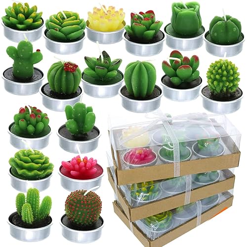GIFTEXPRESS 18 Pcs Succulent Cactus Candles No Repeat Style, Delicate Smokeless Scented Tealight Candles for Home Décor, SPA, Wedding, Valentine's Day, Birthday Gift, Anniversary Celebration