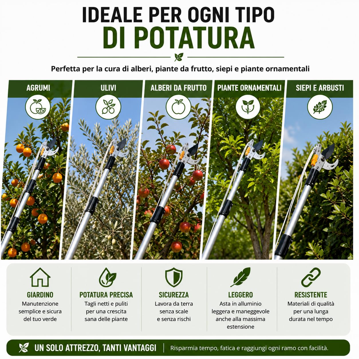 Cesoia Troncarami Telescopica 2 in 1 con Seghetto Intercambiabile 180-300 cm, Asta in Alluminio Leggera, Svettatoio Professionale per Potatura Alberi, Ulivo, Agrumi e Rami Alti
